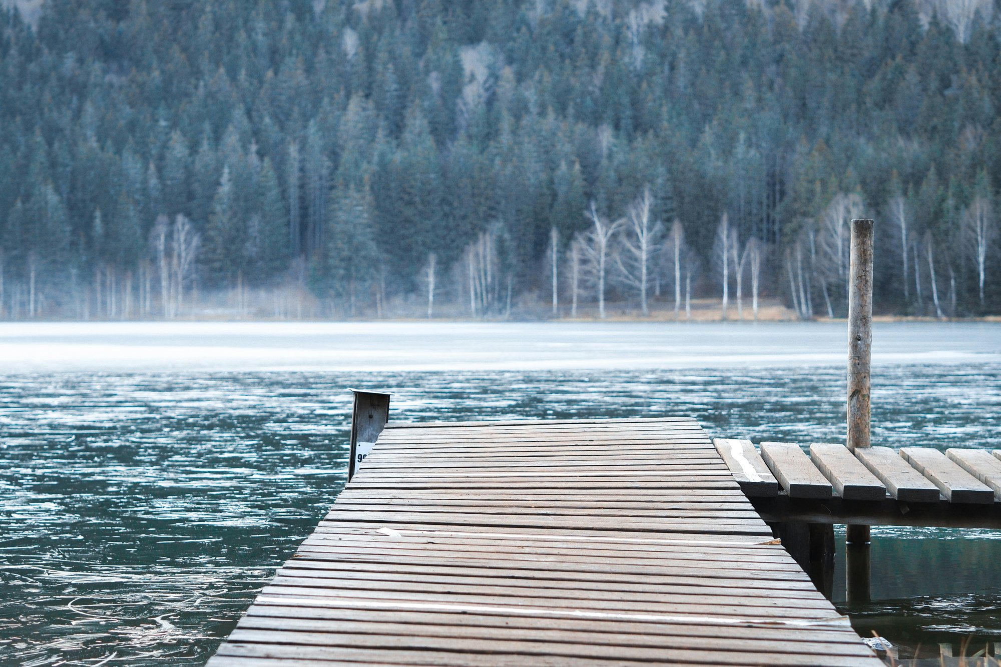 lawrence-krowdeed-EZIxsp6z34U-unsplash